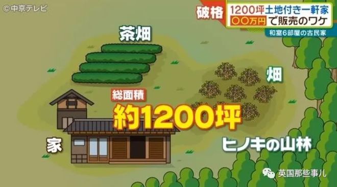 日本乡下古宅仅卖9000元 带4000平田地还送家具