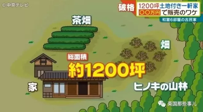 日本乡下古宅仅卖9000元 带4000平田地还送家具