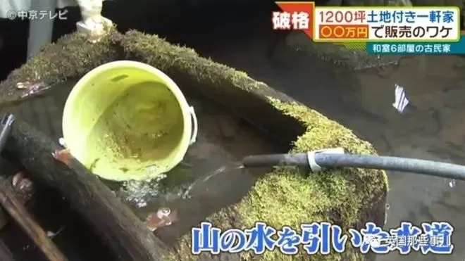 日本乡下古宅仅卖9000元 带4000平田地还送家具