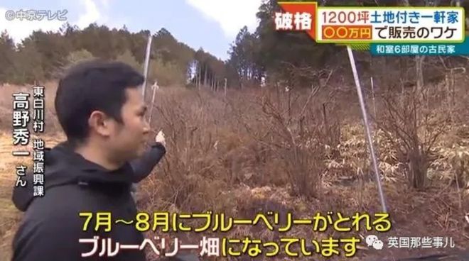 日本乡下古宅仅卖9000元 带4000平田地还送家具