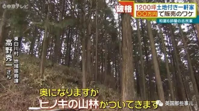 日本乡下古宅仅卖9000元 带4000平田地还送家具