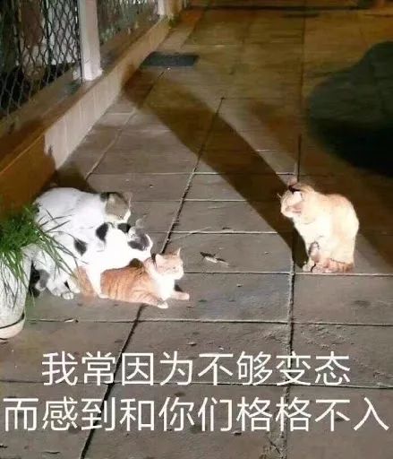 惊呆! 男子