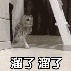 惊呆! 男子