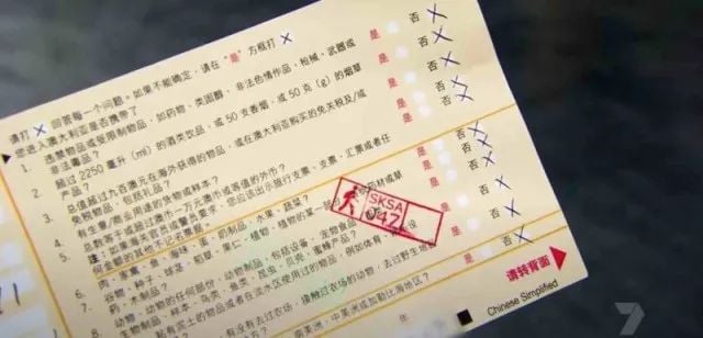 勇猛! 中国大妈背2蛇皮袋闯海关 一打开惊翻全场! 作妖撒泼骂街上国外头条