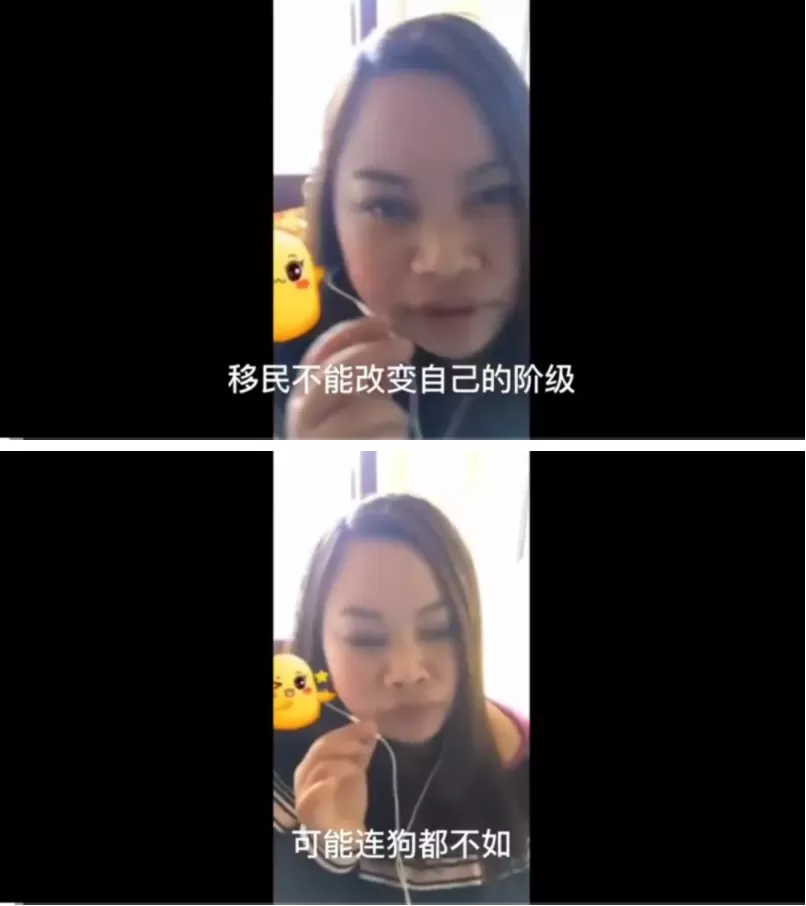 悲催! 华人网红凤姐哭诉: 在美10年人不如狗 嫁不出去 移民改变不了阶层!