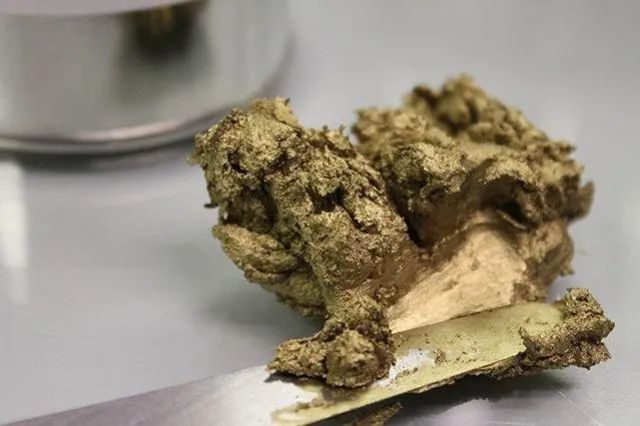 太拼了! 过海关被拦 直肠里抠出一堆金条! 华人女子美国遭遣返