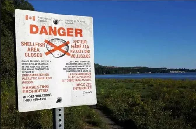 贪小便宜栽了! 45名华人海边狂挖海胆龙虾 惨遭逮捕 罚款7万!
