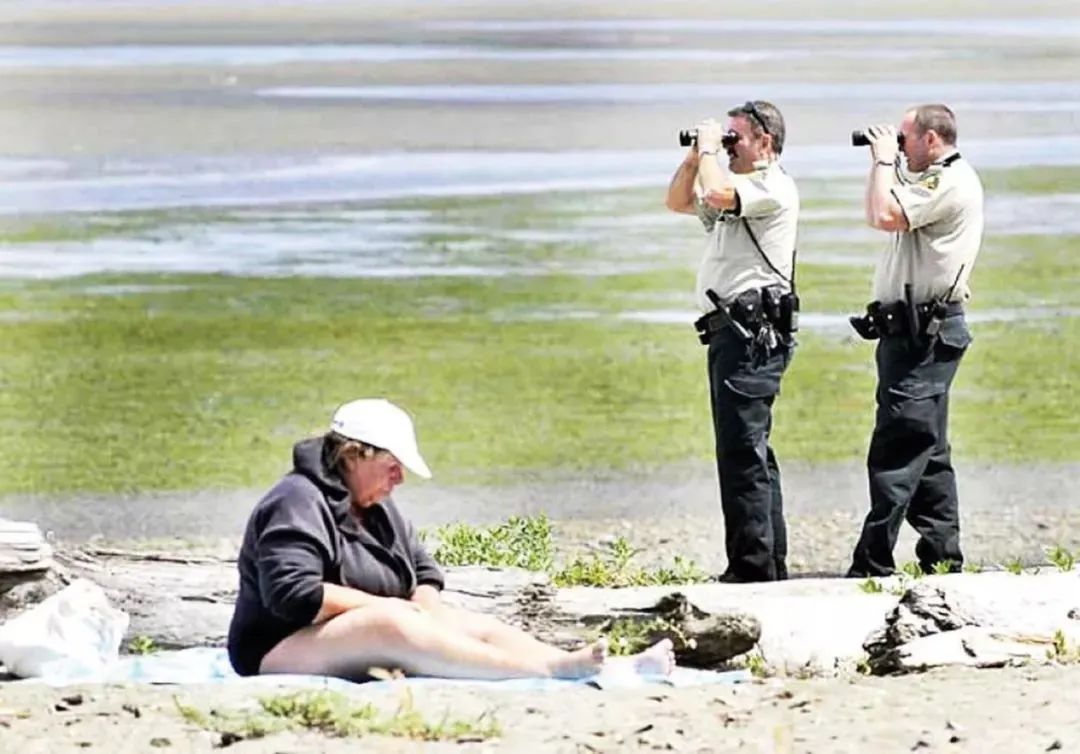 贪小便宜栽了! 45名华人海边狂挖海胆龙虾 惨遭逮捕 罚款7万!