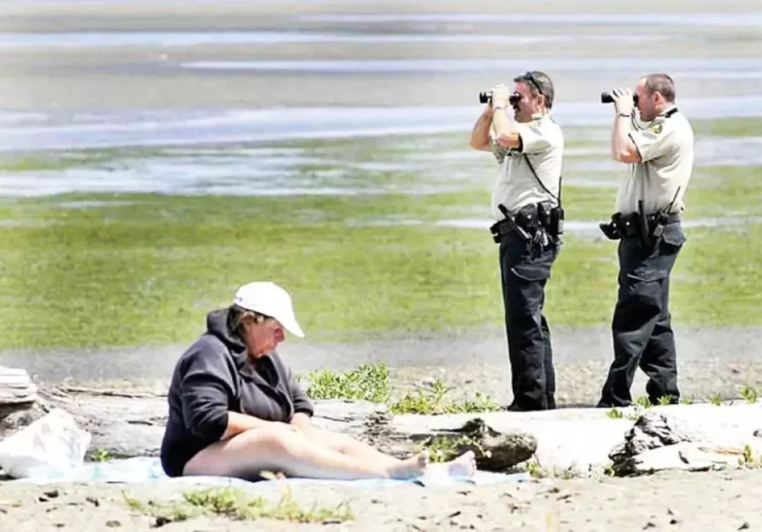 贪小便宜栽了! 45名华人海边狂挖海胆龙虾 惨遭逮捕 罚款7万!