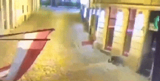 惨烈! 华人夫妇在餐馆遭恐怖分子乱枪狂射 1死1伤 食客集体躲地下室5小时!