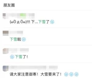 超强暴风雪席卷加拿大 一夜吞没全城 出门买菜需