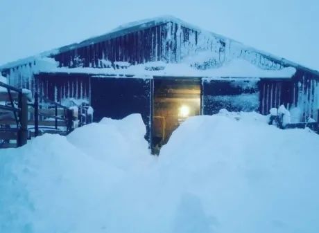 超强暴风雪席卷加拿大 一夜吞没全城 出门买菜需