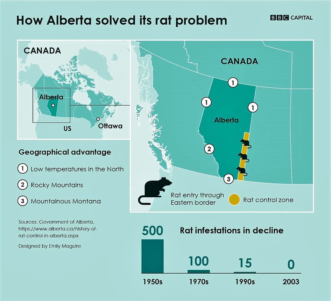 加拿大这个400万人口的省，是人类世界唯一没有老鼠的地方