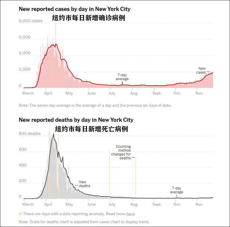 纽约市疫情数据 图自《纽约时报》