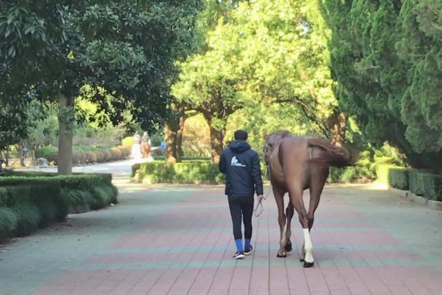 刚开学5天就想“逃跑”，男孩哭得上气不接下气