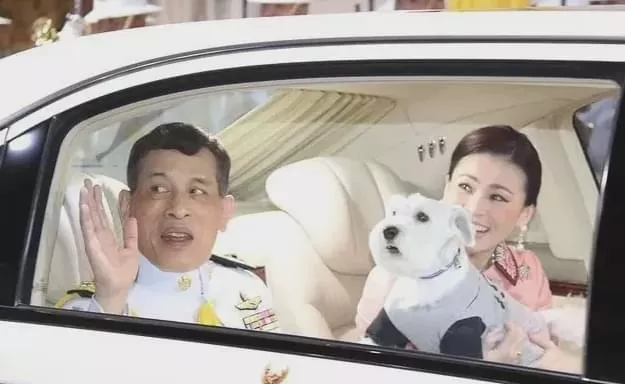 70岁泰王在5个老婆20个情人之间横跳 他有多快乐？