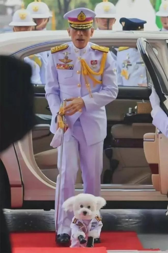 70岁泰王在5个老婆20个情人之间横跳 他有多快乐？
