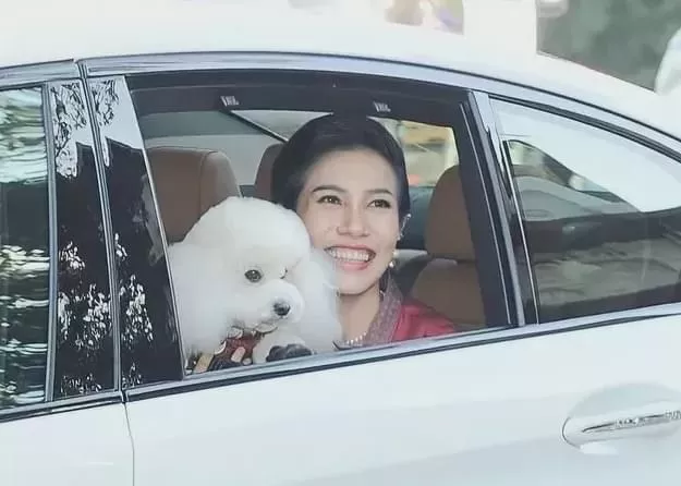 70岁泰王在5个老婆20个情人之间横跳 他有多快乐？