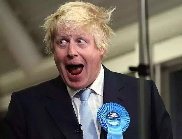 英国首相7个月小儿子，与老爹发型一致；首相曾被问是否跟猫打架