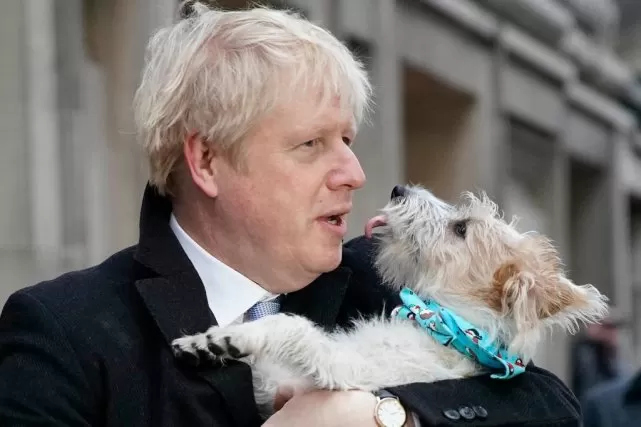 英国首相7个月小儿子，与老爹发型一致；首相曾被问是否跟猫打架