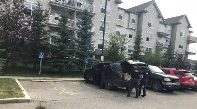 残忍! 加拿大25岁男子杀全家 6刀捅死亲娘 割喉女友盖上被子伪装成睡觉! 社会 第3张