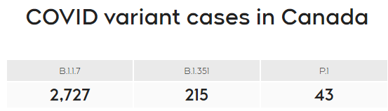 糟了! 加拿大变异病毒蔓延 重灾省下个月或日增8000! 专家警告: 很快要三次封锁! 新闻 第2张