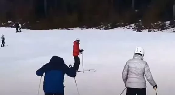恐怖! 游客滑雪遇凶猛棕熊 教练舍身当诱饵 遭猛兽狂追 堪比电影大片! 生活 第11张
