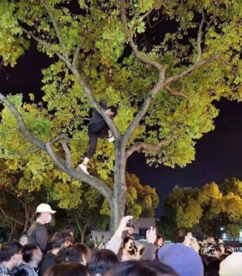 女汉子一枚！杨幂徒手扛行李箱被赞力气大臂力强