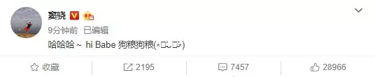 窦骁与何超莲公布恋情 同款文案:哈哈哈 狗粮狗粮