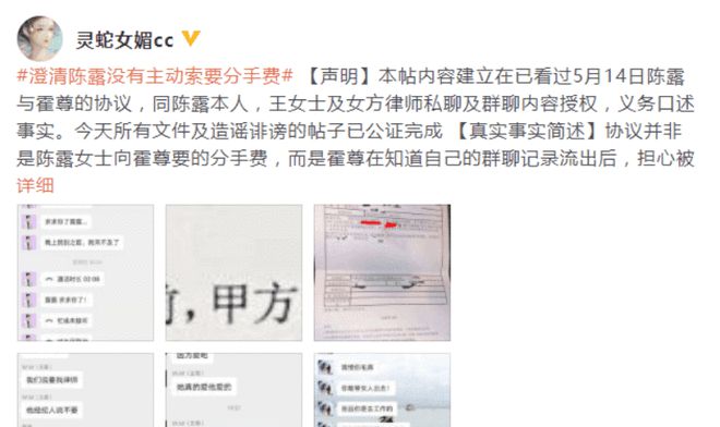 作家陈岚狂怼陈露评价霍尊纯白无瑕 网友吐槽：看上霍尊了？