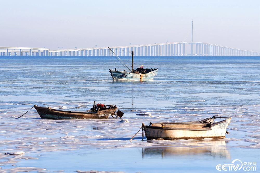 强烈寒流袭击，山东青岛胶州湾北岸跨海大桥海域海面出现大面积海冰。图：翻摄CCTV央视网