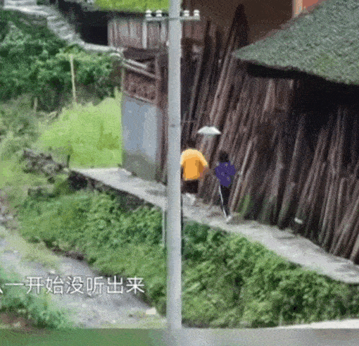 恋情曝光？焉栩嘉与一女子同回家中 对方疑似张子枫 