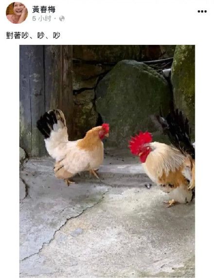 大S妈妈疑深夜发文开撕“新女婿”具俊晔：不要来抢我女儿 