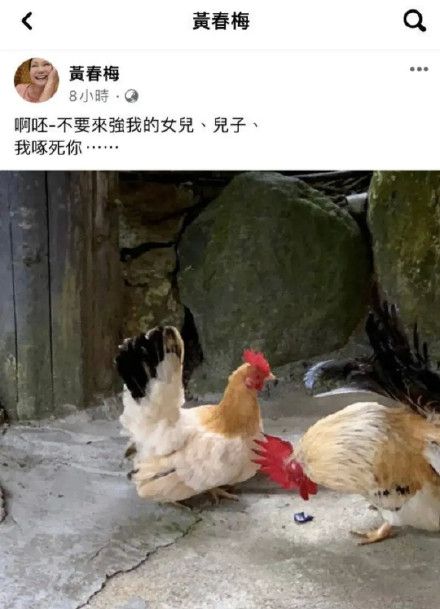 大S妈妈疑深夜发文开撕“新女婿”具俊晔：不要来抢我女儿 