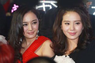 杨幂晒背影照为刘诗诗庆生 网友直呼梦回仙剑