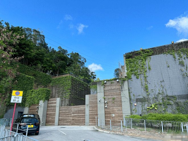 林青霞香港豪宅开始修复 豪宅重门深锁保安十分警惕
