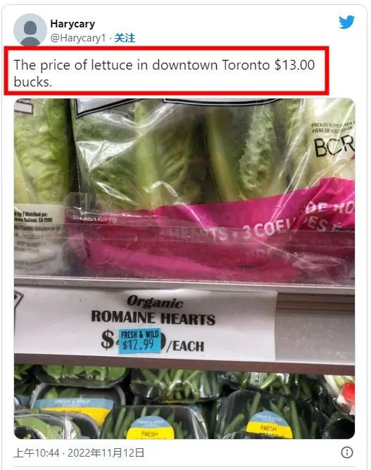 太难了！一包生菜$24.99！多伦多餐馆华人老板诉苦：价格翻3倍！