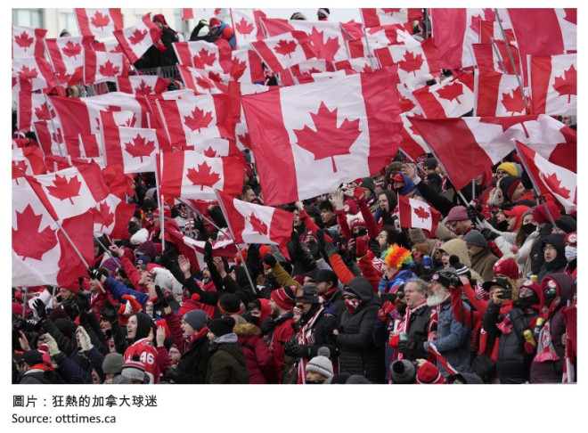 为加拿大加油：观看世界杯足球赛的感受