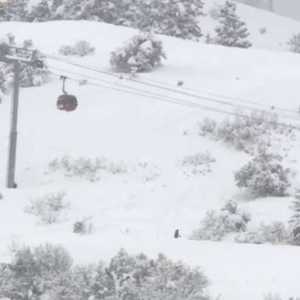缆车被树推到 滑雪场员工惨被抛飞 插入雪地身亡