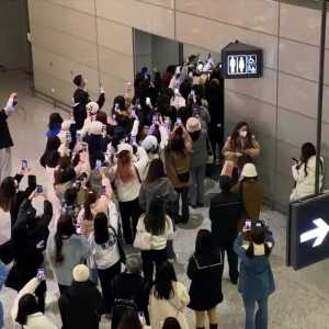 男艺人在上海机场引发拥堵 粉丝竟对警察大喊