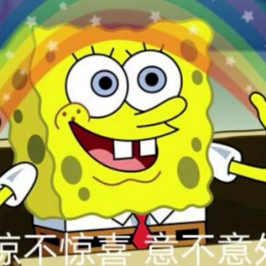 最新研究:加拿大天然海绵能抵御COVID病毒