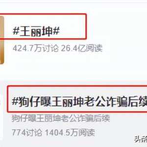 隐婚 插足 涉案10亿:王丽坤活成“清纯”反义词