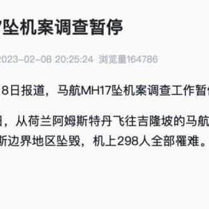 马航MH17坠机案调查暂停 机上298人全部罹难