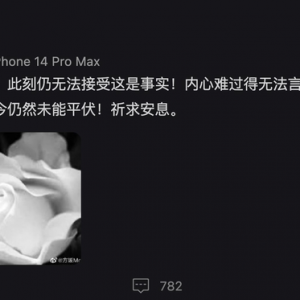 郭富城妻痛失闺蜜蔡天凤首发声 悲痛难受：千个为什么