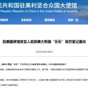 拉黑!删评!虐待熊猫的美国动物园 究竟在怕什么?