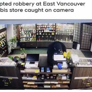 温哥华接连突发持枪抢劫案! 有人险被拖进小树林! 居民区惊现尸体! 小学对面搜出毒品!