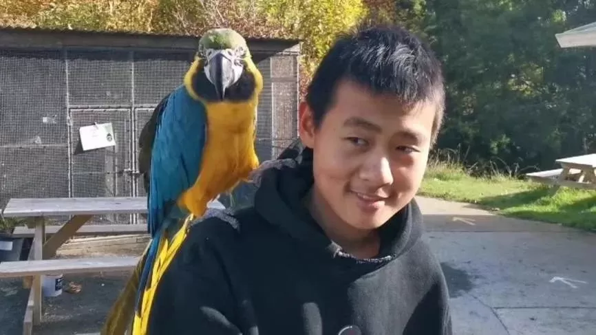 （儿子在公园玩）