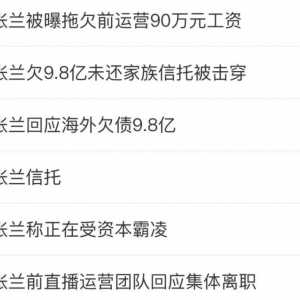 欠债 9.8 亿，汪小菲好惨一儿子