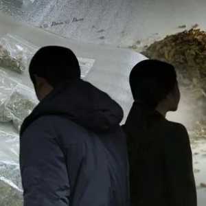 高中生做毒枭、明星成“毒王”，韩国正被毒品侵蚀