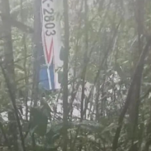 奇迹! 飞机突发坠机 目睹母亲遇难 4娃流浪森林14天生还! 还有婴儿